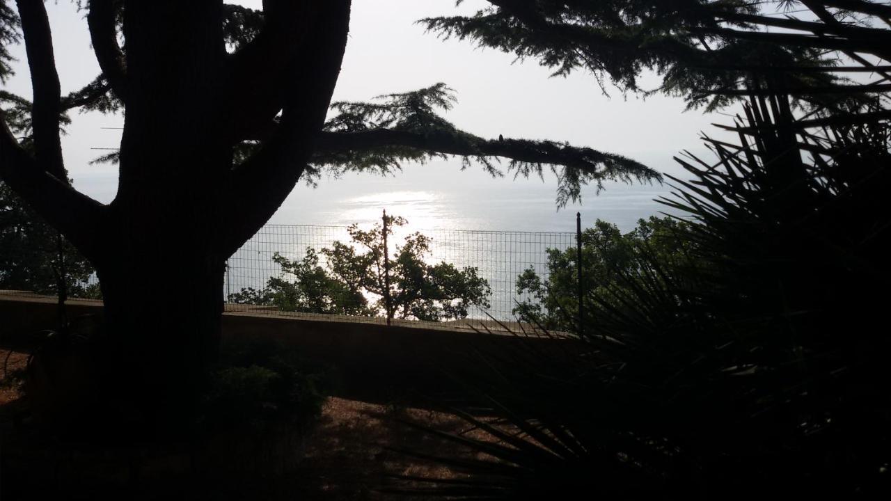 Loft Sul Mare Sirolo Διαμέρισμα Εξωτερικό φωτογραφία